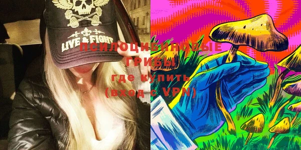 ПСИЛОЦИБИНОВЫЕ ГРИБЫ Алексин