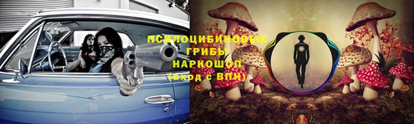 стафф Алексеевка