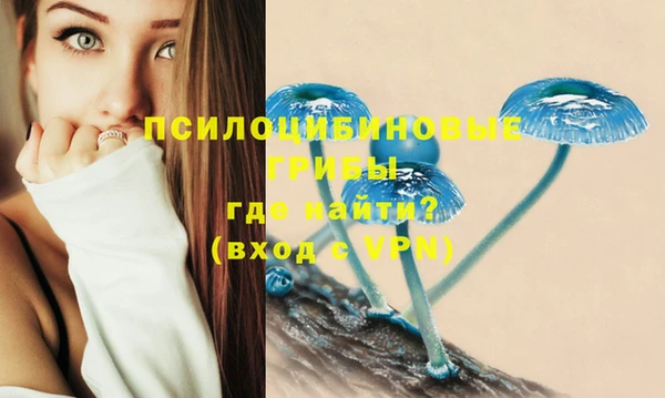 стафф Алексеевка