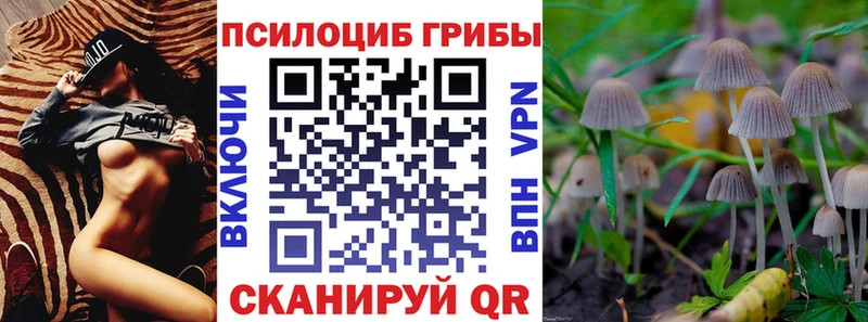 МЕГА   закладки  Чита  Галлюциногенные грибы Psilocybe 